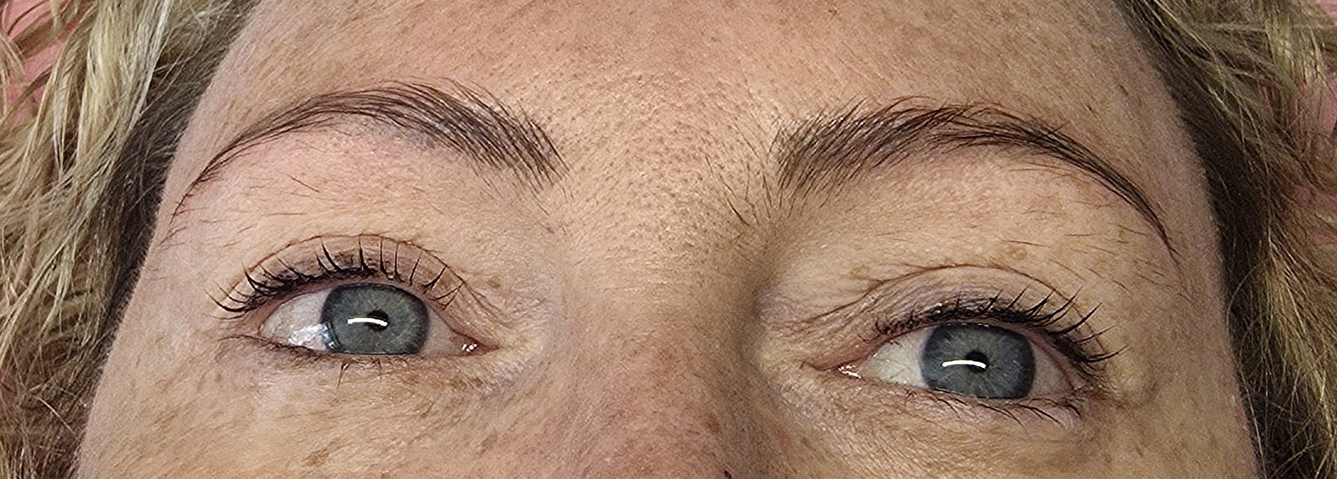 Client's brows before Microblading